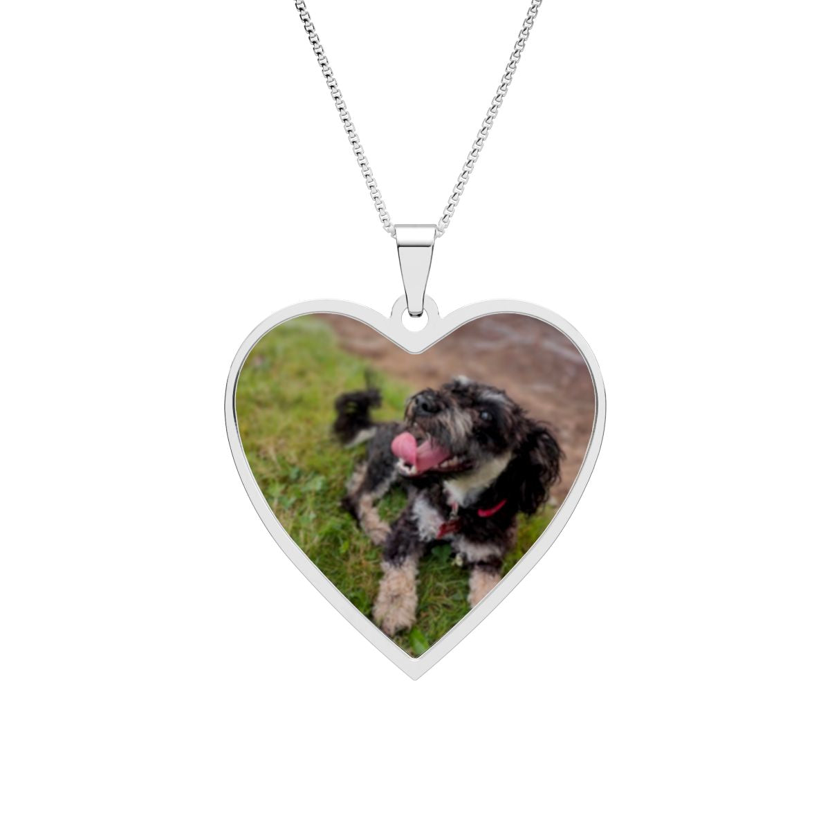 Forever in My Heart Collection