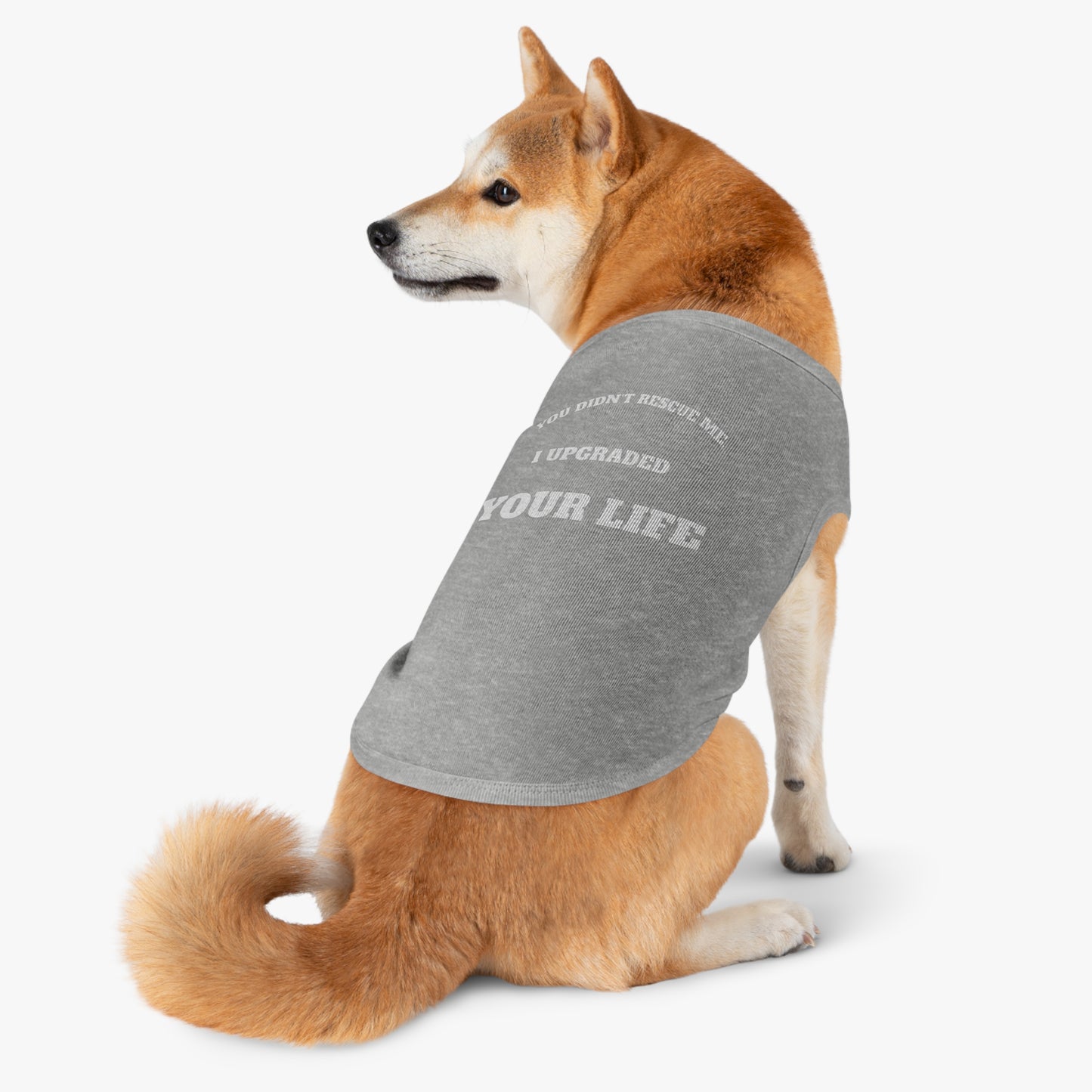 Full-Time Provider Collection — "You Didn’t Rescue Me, I Upgraded Your Life" Funny Rescue Dog Shirt