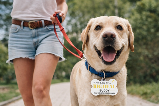 Customizable Tags, Shameless Dog Collection — “I’m Kind of a Big Deal” Funny Pet Tag